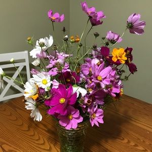 Meet your Posher, Sara